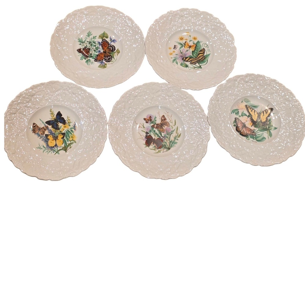 Royal Cauldon Bristol Porcelain Plates Set of 5 Holmes Gray Butterfly Designs